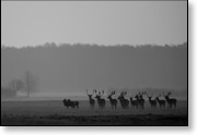 R&aacute;no. (c) Autor: Jaroslav Hirn&scaron;&aacute;l