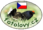 logo fotolovy