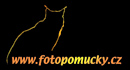 logo rys