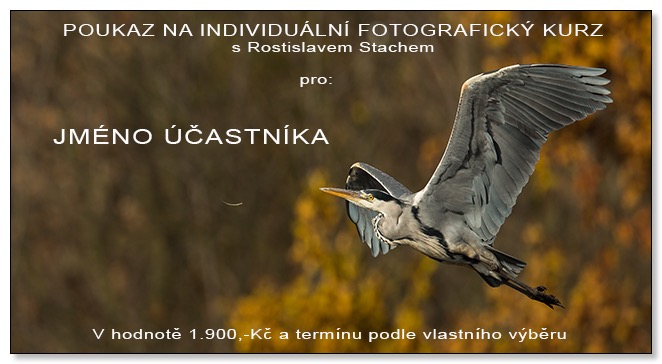 poukaz_individual